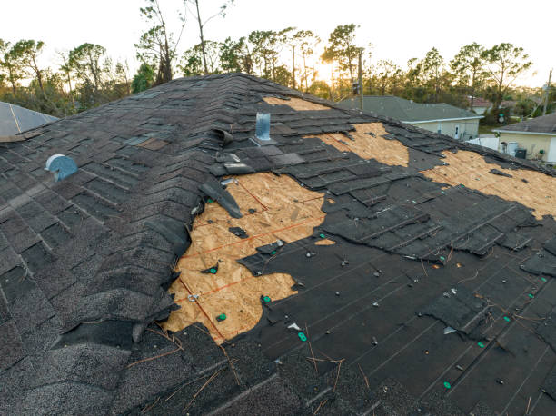 Best Skylight Installation and Repair  in Sylvania, OH