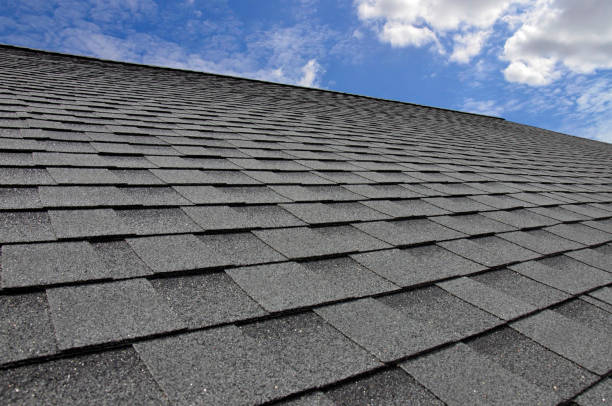 Best Gutter Replacement  in Sylvania, OH